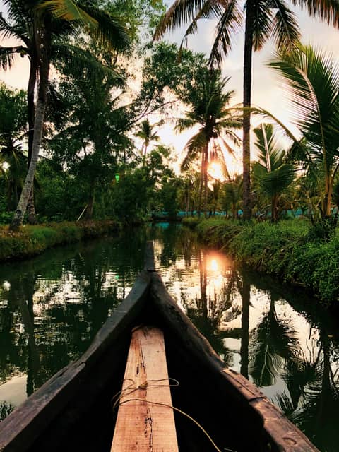 A canoe gliding through Kerala backwaters